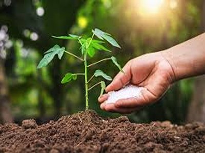 تصویر 2 از خرید و قیمت کود پتاسیم فسفات + فروش عمده